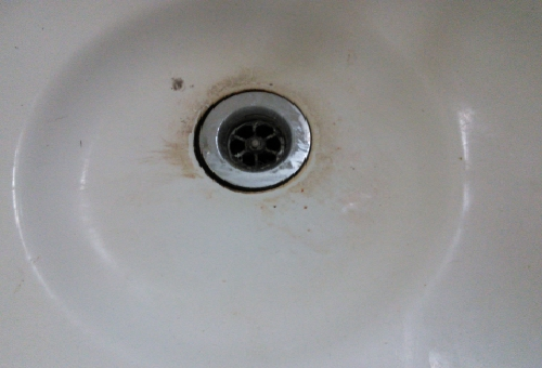 黒カビ 洗面所 除去 排水口